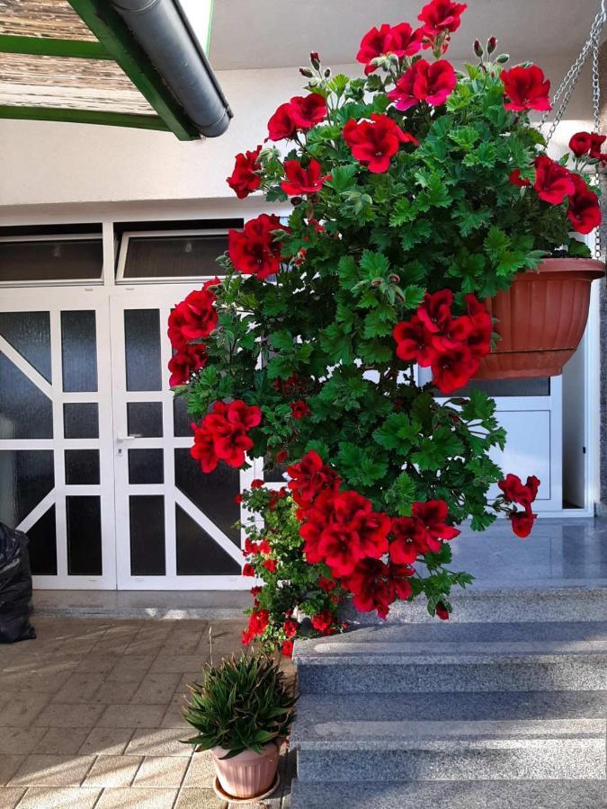 Apartment Bracic Водице Екстериор снимка
